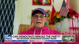 James Carville: I don't like the Democratic Party right now!