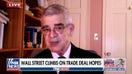 Hysteria over Trump’s economy is unwarranted, economist says the US is on a ‘nice course’