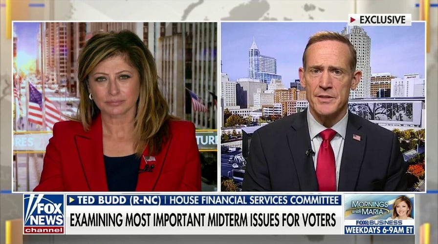 America needs to 'press the brakes' on Biden's agenda to fix problems: Rep. Ted Budd