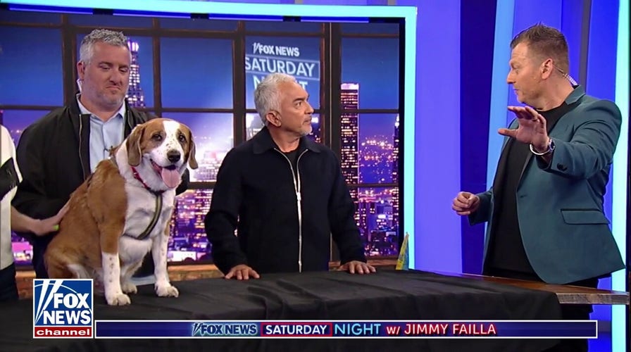 WATCH: Cesar Millan Trains Jimmy's Dog Bixby On 'Fox News Saturday Night'