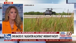 We need to get ICE arrests and deportations ‘turbocharged,’ DHS assistant secretary argues