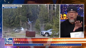 Tyrus gives his take on bison's attack on Yellowstone tourist