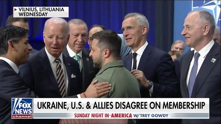 U.S., Germany do not want Ukraine in NATO now, disagree with allies