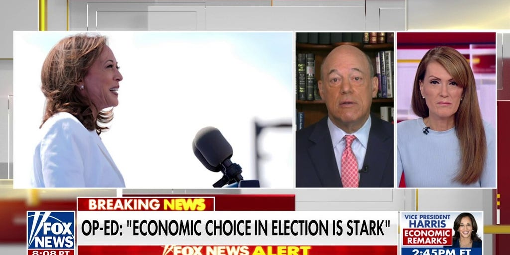 Kamala Harris facing backlash for ‘cost-capping’ price controls to curb ...