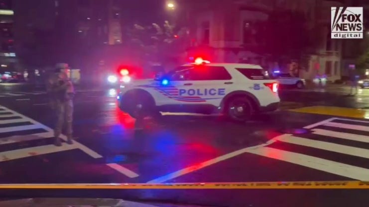 Gunshots heard outside White House, male suspect taken down by Secret Service