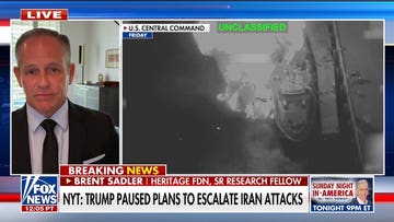 Trump pauses strikes on Iran for 2nd straight day