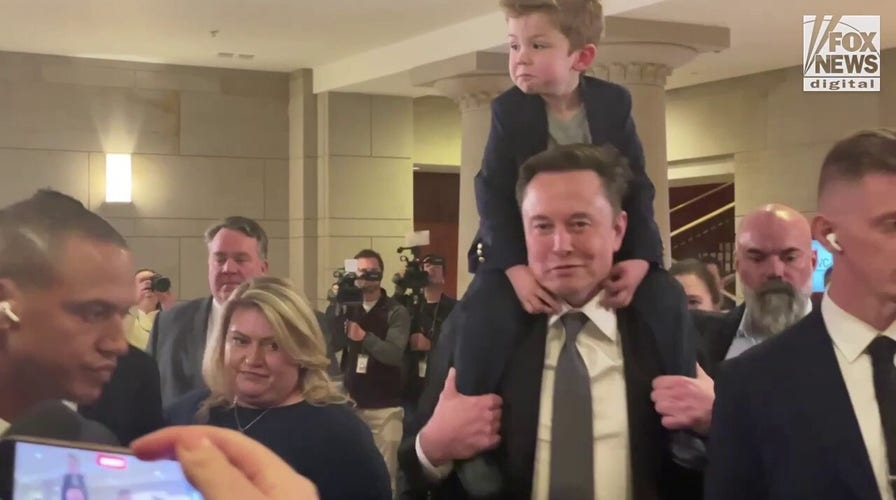 Vivek Ramaswamy and Elon Musk leave DOGE meeting with lawmakers