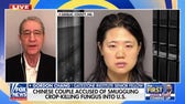 Gordon Chang issues stark warning after Chinese nationals accused of smuggling crop-killing fungus into US: 'This has to stop'