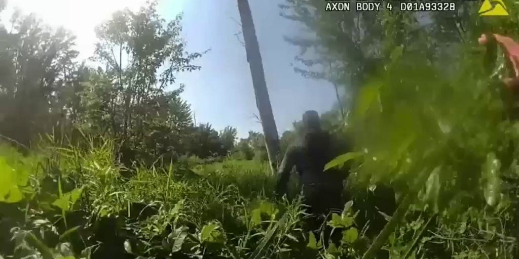 Michigan State Police rescue two women and a child after trio was stranded in forest for three days