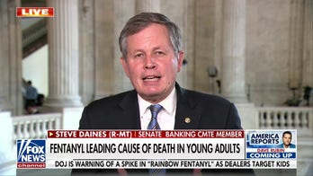 Sen. Daines calls on social media to crack down on fentanyl dealers: You don't overdose, you get poisoned