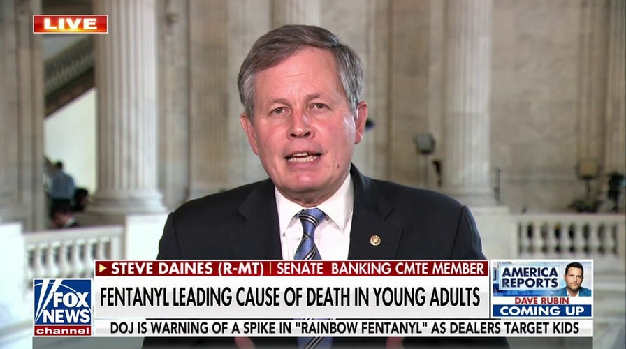 Sen. Daines calls on social media to crack down on fentanyl dealers: You don't overdose, you get poisoned