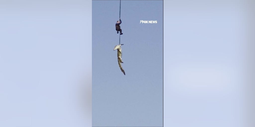 Officials airlift crocodile suspected of EATING missing man