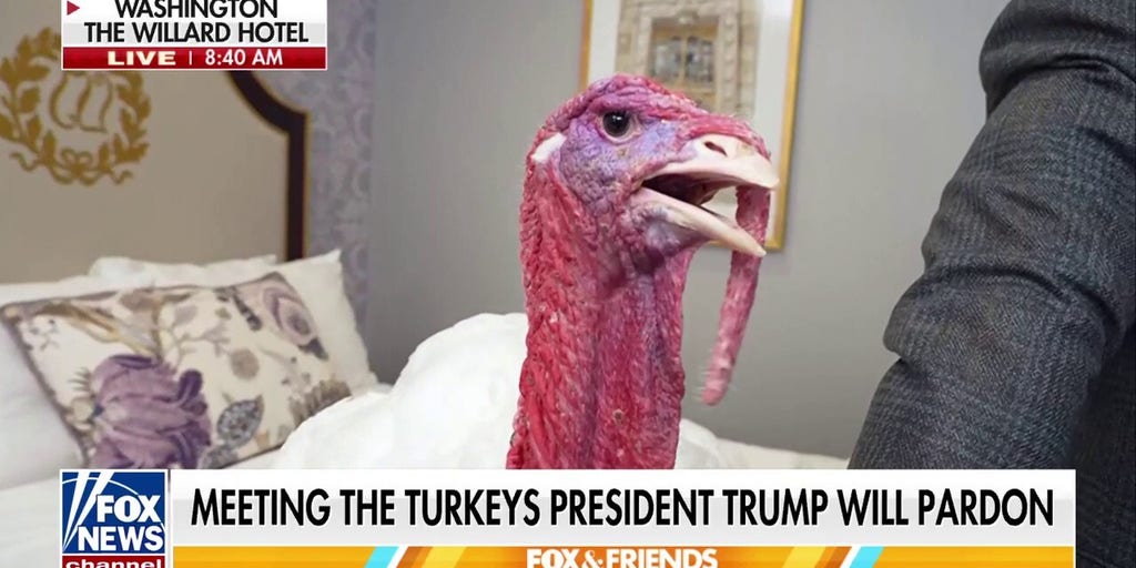 Steve Doocy goes behind-the-scenes before Trump’s turkey pardon