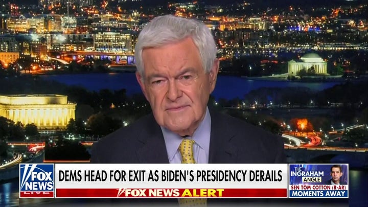 Biden and the Democratic Party are in trouble: Newt Gingrich