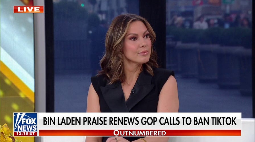 TikTok ‘poisons the minds of our youth’: Lisa Boothe