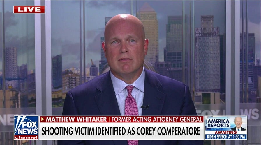 ‘God had his hands around Donald Trump’: Matthew Whitaker