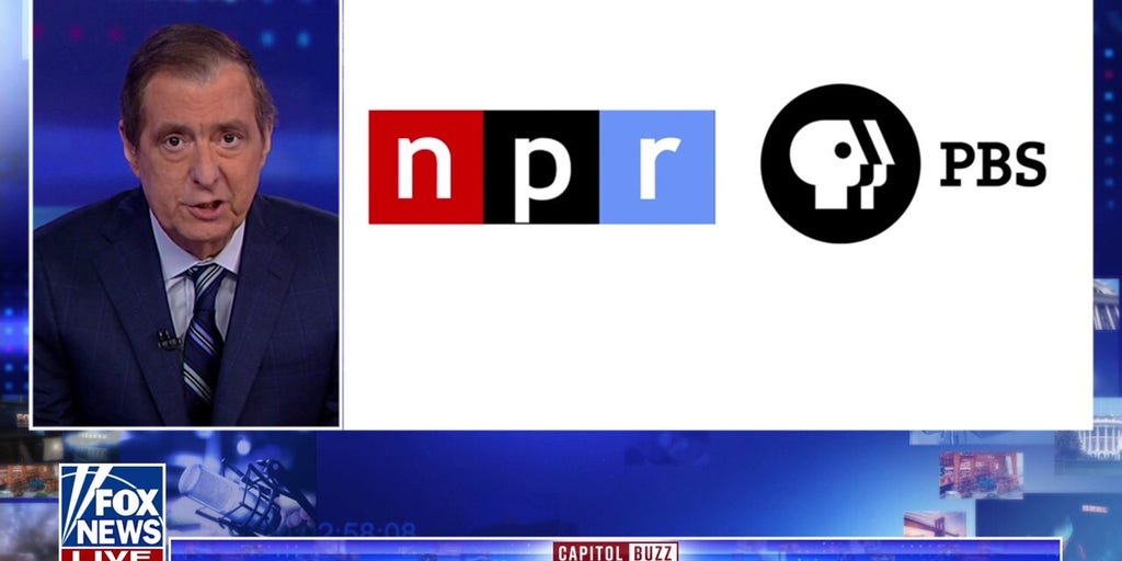 'They can't hide behind Elmo and Big Bird': Susan Ferrechio knocks NPR, PBS for 'less balanced' reporting