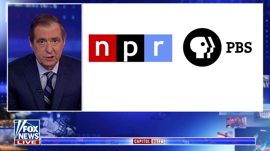 'They can't hide behind Elmo and Big Bird': Susan Ferrechio knocks NPR, PBS for 'less balanced' reporting