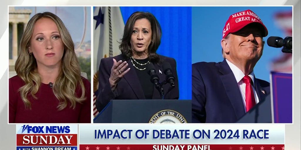 This is going to be a 'margin of error election,' Stef Kight says | Fox ...