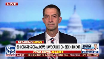 ‘Remarkable contrast’ between the Democratic and Republican parties: Tom Cotton