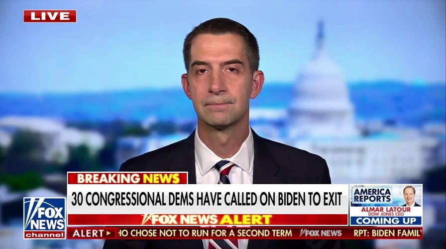 ‘Remarkable contrast’ between the Democratic and Republican parties: Tom Cotton