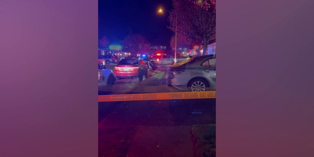 Two teens dead following mass shooting at house party in Washington state