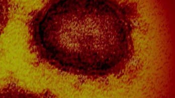 Apple updates its guidance around cleaning iPhones with disinfectant wipes amid coronavirus outbreak