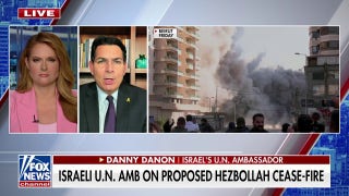 Israel accepts cease-fire terms but will defend itself against any attack: Danny Dannon - Fox News