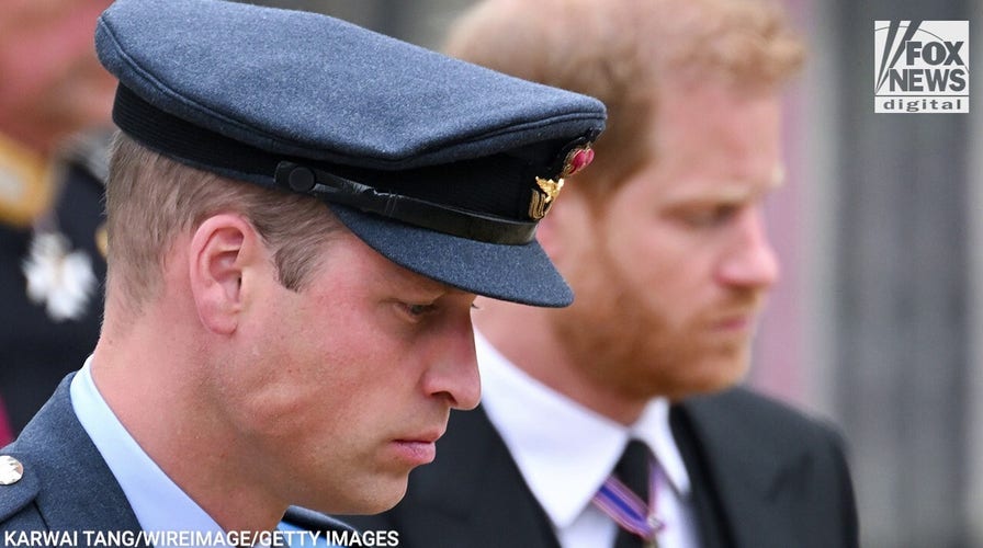 Prince William, Prince Harry made 'right decision' to not watch mother's death on 'The Crown'
