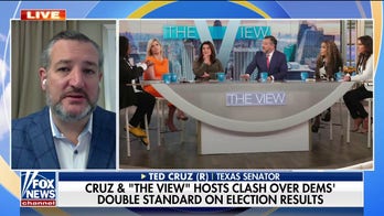 Ted Cruz says 'View' hosts were 'more rattled' than him after climate protesters interrupted his appearance