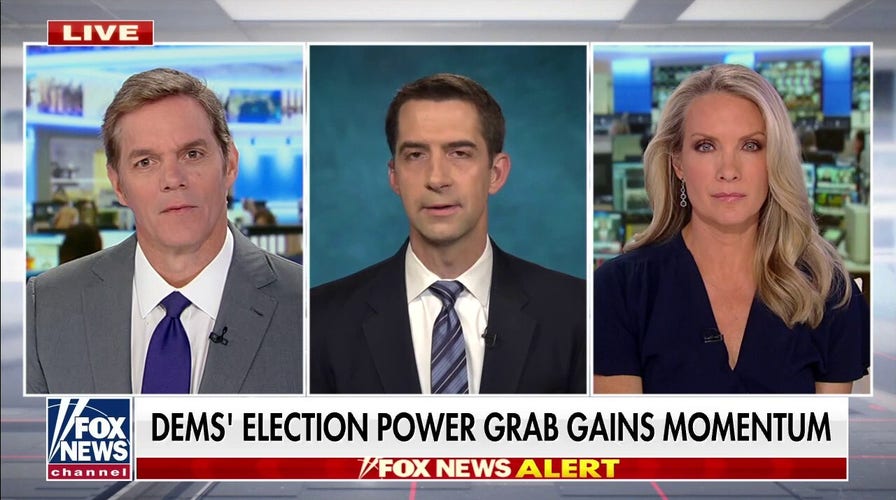 Supreme Court would strike down most of Dems’ voting law: Tom Cotton