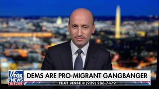 Democrats basal   for 'illegal alien predators,' says Stephen Miller - Fox News