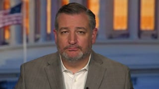 Cruz: Schumer plans to table Mayorkas impeachment to hide testimony from public - Fox News