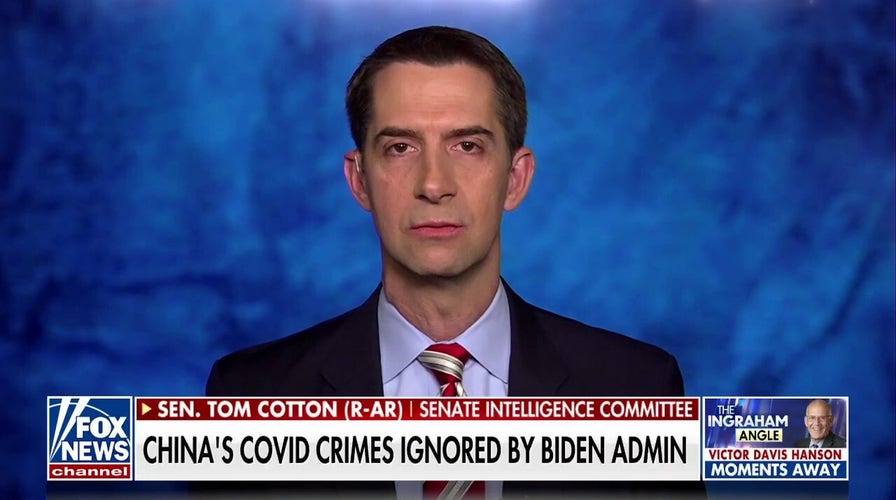 Sen. Tom Cotton: Biden must take a firm stand against Chinese communists rather than acting as their de facto lawyer