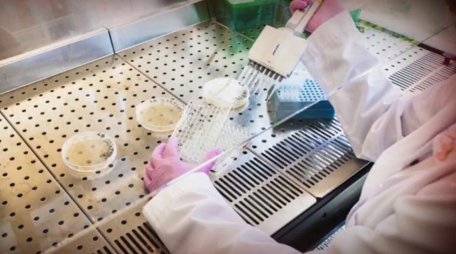 New York scientists develop first US blood test that can detect COVID-19 antibodies