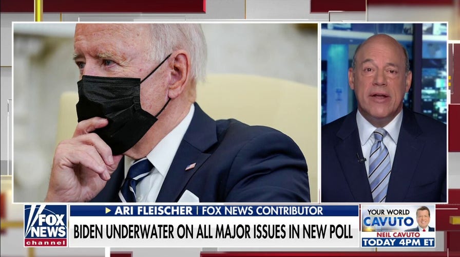 Ari Fleischer blasts Biden's 'reckless' rhetoric amid plummeting approval rating 