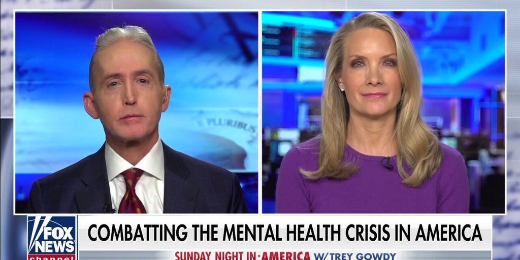 How is social media contributing to the mental health crisis? Fox