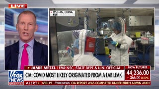 COVID lab origin is becoming 'increasingly clear,' former WHO adviser says - Fox News