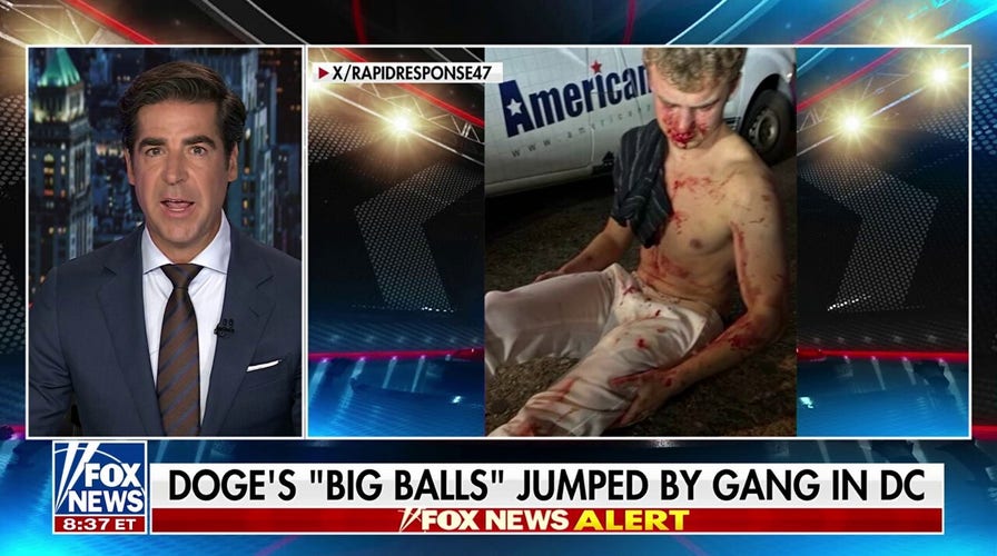 Jesse Watters: DOGE's 'Big Balls' was jumped by gang in DC