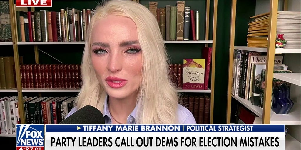 'Delusional' Democrats called out for 'complete denial' over election loss
