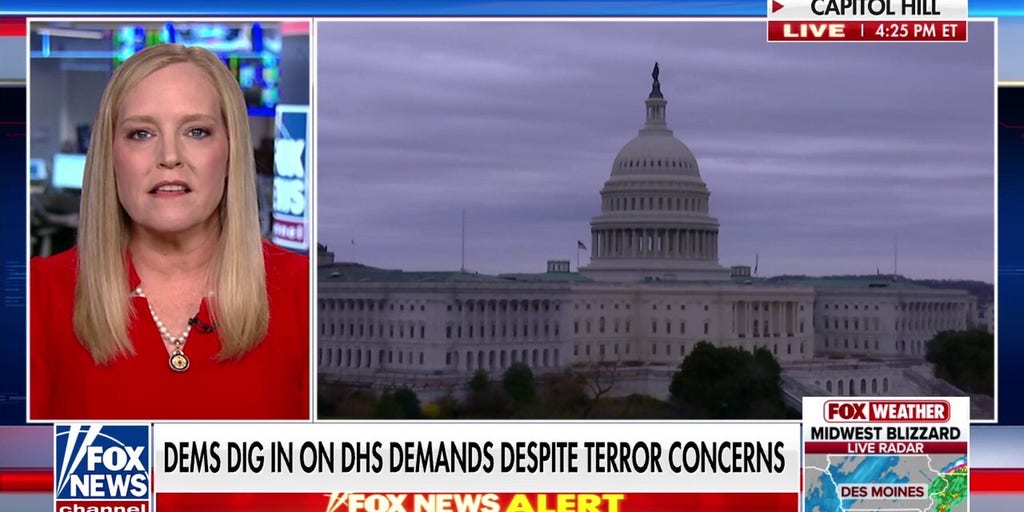 By not funding DHS, American citizens ‘continue to be at risk’: GOP lawmaker