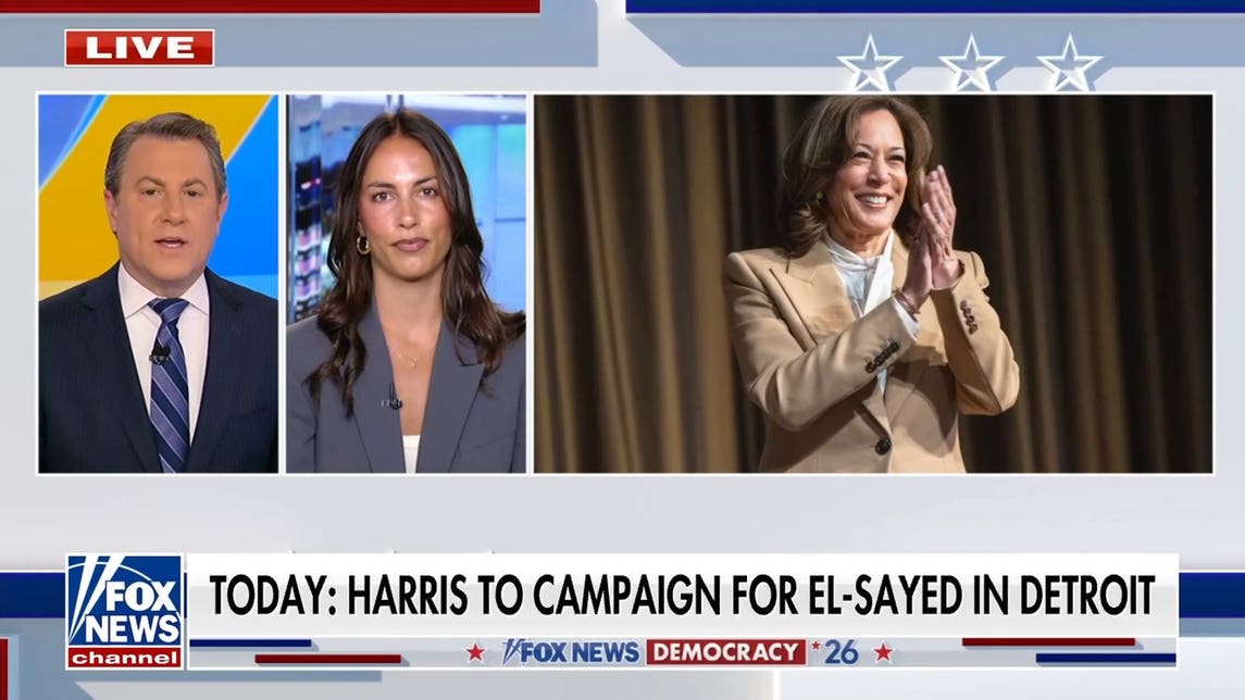 El-Sayed's numbers could drop 'precipitously' with Kamala Harris endorsement, writer predicts
