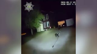 Dog in Kansas seeks police help for homeowner who had fallen - Fox News
