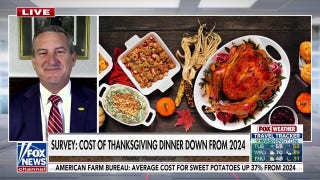 Butterball CEO says company is ‘listening’ to concerns over food inflation - Fox News