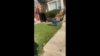 Baby tries to replicate gymnast's flip in front yard - Fox News