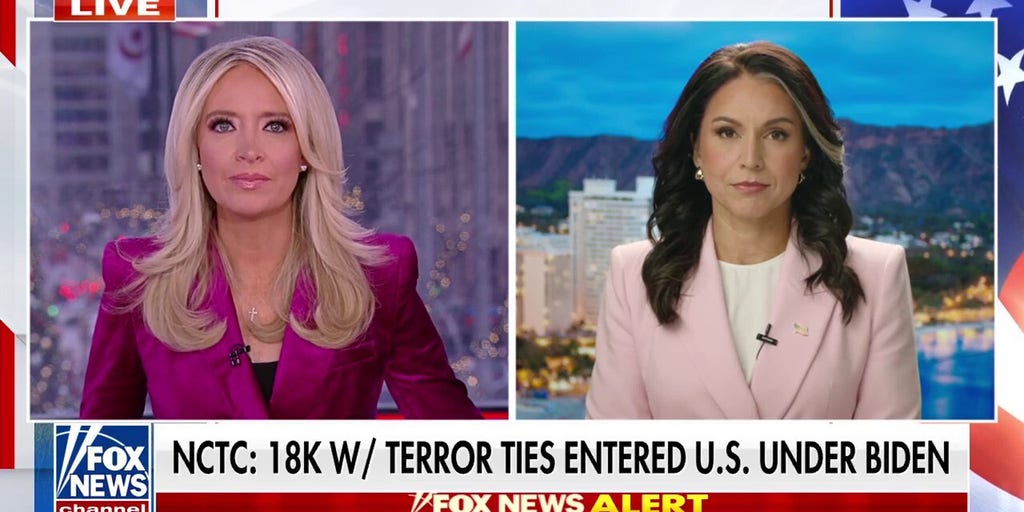 Gabbard raises alarm on terror-linked migrants who entered US under Biden