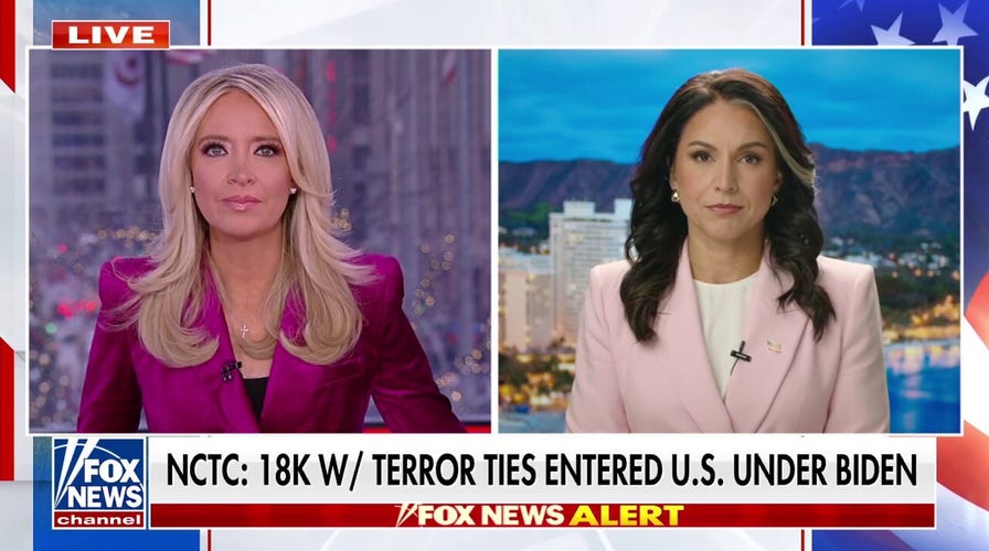 Gabbard raises alarm connected terror-linked migrants who entered US nether Biden
