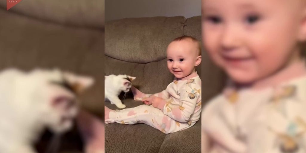 Generous toddler and pet kitten Chili melt hearts with tender snack ritual