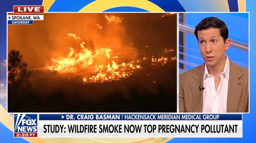 Wildfire smoke now poses top pregnancy risk, study finds