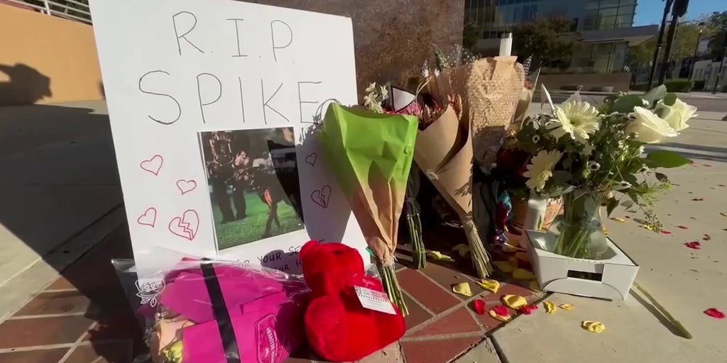 Community mourns K9 killed by illegal immigrant